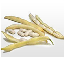 White Kidney Beans