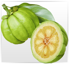 Premium Garcinia Cambogia Extract