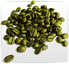 Premium Green Coffee Beans