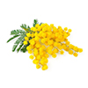 L-Glycine