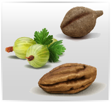 Premium Triphala Extract