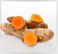 Premium Turmeric Extract